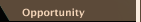 Opportunity